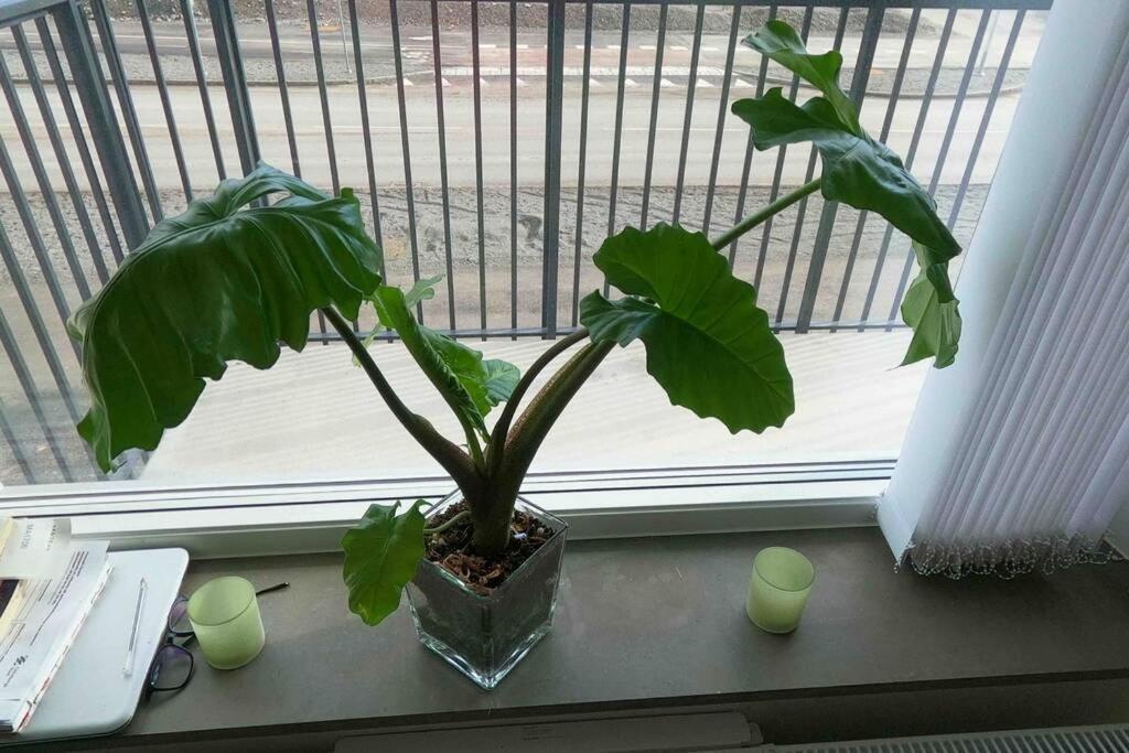 Homestay - Private Room In An Apartment ヨーテボリ エクステリア 写真